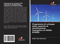 Programma di sviluppo delle capacità di pianificazione energetica di IRENA-ECREEE kitap kapağı