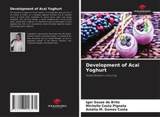 Buchcover von Development of Acai Yoghurt
