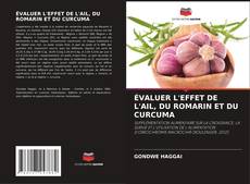 Buchcover von ÉVALUER L'EFFET DE L'AIL, DU ROMARIN ET DU CURCUMA