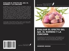 Bookcover of EVALUAR EL EFECTO DEL AJO, EL ROMERO Y LA CÚRCUMA