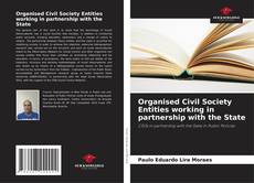 Portada del libro de Organised Civil Society Entities working in partnership with the State