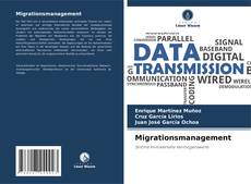 Bookcover of Migrationsmanagement