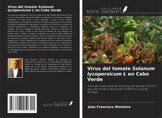 Copertina di Virus del tomate Solanum lycopersicum L en Cabo Verde
