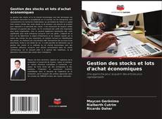 Gestion des stocks et lots d'achat économiques kitap kapağı