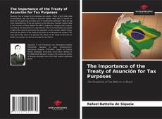 Bookcover of The Importance of the Treaty of Asunción for Tax Purposes