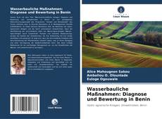 Buchcover von Wasserbauliche Maßnahmen: Diagnose und Bewertung in Benin