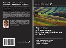 Bookcover of Desarrollos hidroagrícolas: diagnóstico y evaluación en Benín