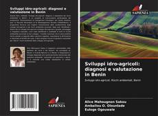 Borítókép a  Sviluppi idro-agricoli: diagnosi e valutazione in Benin - hoz