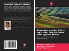 Capa do livro de Desenvolvimentos hidro-agrícolas: diagnóstico e avaliação no Benim 