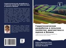 Buchcover von Гидротехнические разработки в сельском хозяйстве: диагностика и оценка в Бенине
