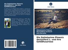 Bookcover of Die Dattelpalme Phoenix dactylifera L. und ihre Gefäßfusariose