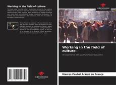 Working in the field of culture kitap kapağı