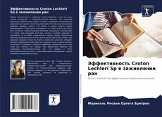 Buchcover von Эффективность Croton Lechleri Sp в заживлении ран