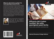 Buchcover von Efficacia del Croton Lechleri Sp nella guarigione post-ferita