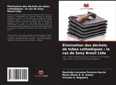 Élimination des déchets de tubes cathodiques : le cas de Sony Brasil Ltda kitap kapağı