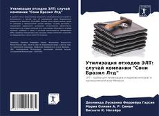 Bookcover of Утилизация отходов ЭЛТ: случай компании "Сони Бразил Лтд"