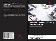 Internal Control, Planning and Budgeting: kitap kapağı