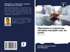 Capa do livro de Принципы и стратегии, которые настроят вас на успех 