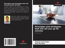 Portada del libro de Principles and strategies that will set you up for success