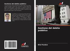Gestione del debito pubblico kitap kapağı