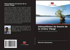 Capa do livro de Géosystèmes du bassin de la rivière Tibagi 