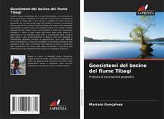 Bookcover of Geosistemi del bacino del fiume Tibagi