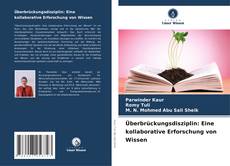 Überbrückungsdisziplin: Eine kollaborative Erforschung von Wissen kitap kapağı