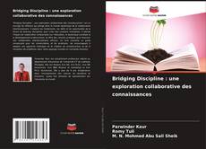 Обложка Bridging Discipline : une exploration collaborative des connaissances