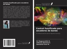 Copertina di Control fuzzificado para secadores de banda