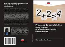 Bookcover of Principes de comptabilité pour les non professionnels de la comptabilité