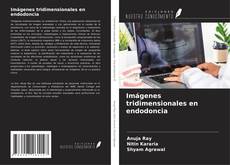 Copertina di Imágenes tridimensionales en endodoncia