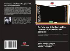 Déficience intellectuelle, pauvreté et exclusion scolaire的封面