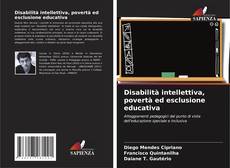 Bookcover of Disabilità intellettiva, povertà ed esclusione educativa