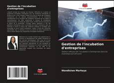 Gestion de l'incubation d'entreprises的封面