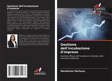 Gestione dell'incubazione d'impresa kitap kapağı