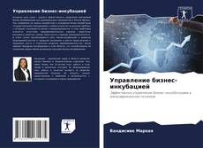 Capa do livro de Управление бизнес-инкубацией 