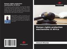 Human rights protection mechanisms in Africa kitap kapağı