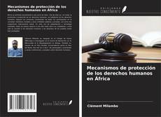 Buchcover von Mecanismos de protección de los derechos humanos en África