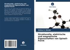 Strukturelle, elektrische und magnetische Eigenschaften von Spinell-Ferrit的封面