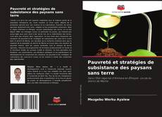 Bookcover of Pauvreté et stratégies de subsistance des paysans sans terre