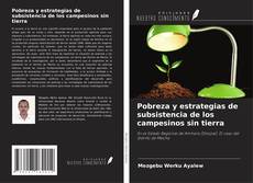 Bookcover of Pobreza y estrategias de subsistencia de los campesinos sin tierra