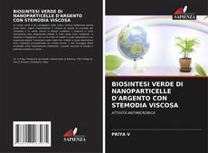 Copertina di BIOSINTESI VERDE DI NANOPARTICELLE D'ARGENTO CON STEMODIA VISCOSA