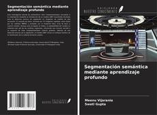 Bookcover of Segmentación semántica mediante aprendizaje profundo