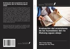 Copertina di Evaluación del ecosistema de los humedales del río Mekong aguas abajo