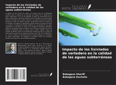 Bookcover of Impacto de los lixiviados de vertedero en la calidad de las aguas subterráneas