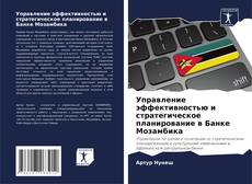 Управление эффективностью и стратегическое планирование в Банке Мозамбика kitap kapağı