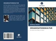 ORGANISATIONSKULTUR kitap kapağı