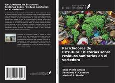 Bookcover of Recicladores de Estrutural: historias sobre residuos sanitarios en el vertedero