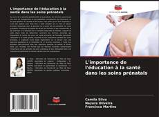 L'importance de l'éducation à la santé dans les soins prénatals kitap kapağı