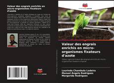 Buchcover von Valeur des engrais enrichis en micro-organismes fixateurs d'azote